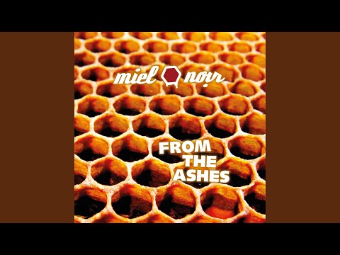 Miel Noir — Follow the Waves