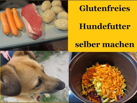 Video: Schweinefleisch & Hafer Hundefutter kochen