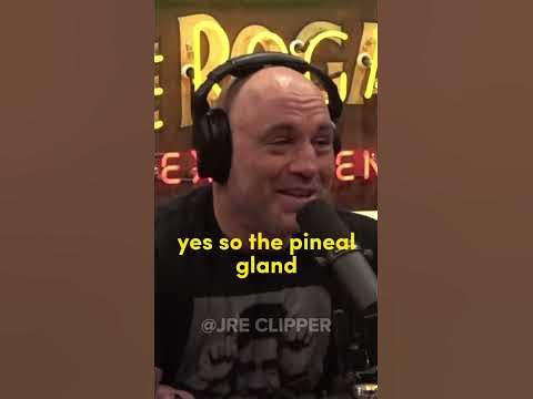 Joe Rogan “Aztecs burned people alive” - #1854 - Rick Strassman - YouTube