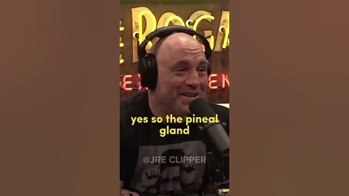 Joe Rogan Aztecs burned people alive - #1854 - Ric...