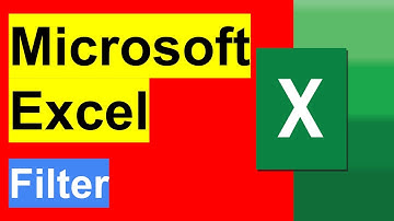 Excel Tutorial for Beginners | Excel Made Easy. Excel Filter Basics (for quick data analysis).