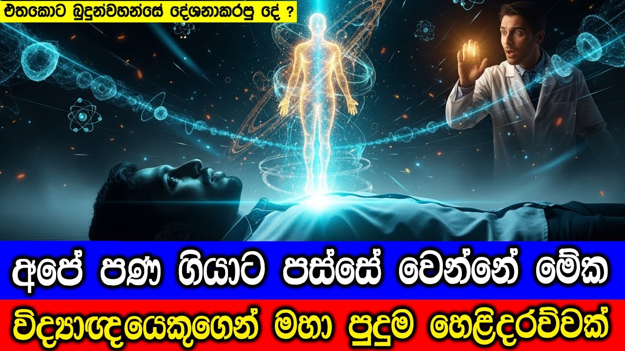 අපි මෙලොව හැරගියාම වෙන්නේ මෙන්න මේක, විද්‍යාඥයෙකුගෙන් හෙළිදරව්වක්. Biocentrism Explained.