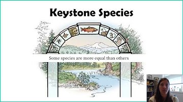 Keystone Species