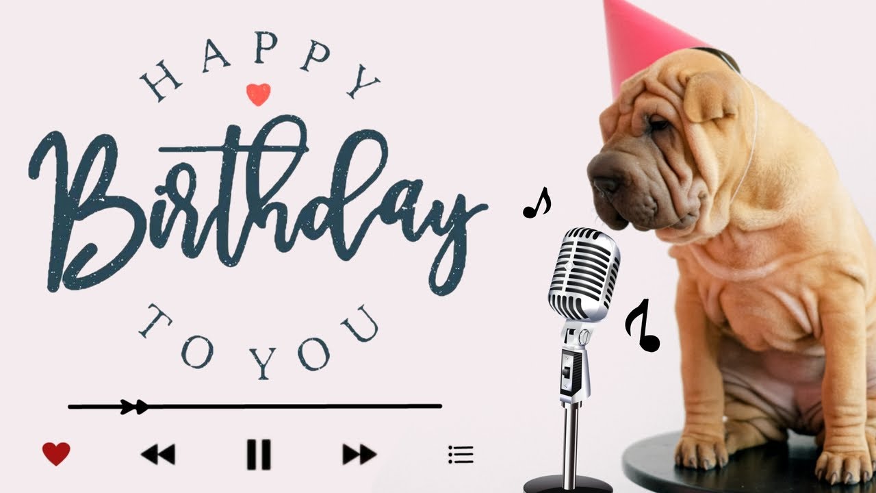 Dog Barking   Happy Birthday Song   Happy Birthday To You  Dog Singing  Video