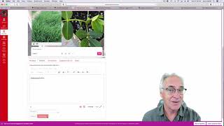 Submitting your text assignments on Canvas