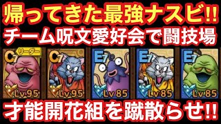【ドラゴンクエストタクト】Ｃランク以下杯初日！帰ってきた最強ナスビ！チーム呪文愛好会で才能開花組を蹴散らせ！！