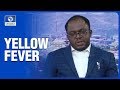 How To Eliminate Yellow Fever - Epidemiologist