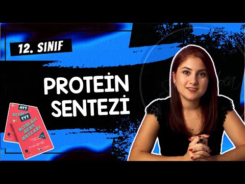 4) PROTEİN SENTEZİ | 12. SINIF | AYT BİYOLOJİ DERS NOTLARI | 2024