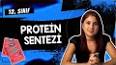 Proteinlerin Yapısı ve İşlevi ile ilgili video