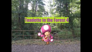 Toadette in the Forest 4 (FINALE) by LucasTheAgent4 454 views 1 year ago 1 minute, 20 seconds