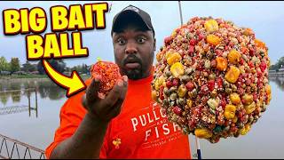 Will This Big Ball Of Bait Catch Tons Of Fish?