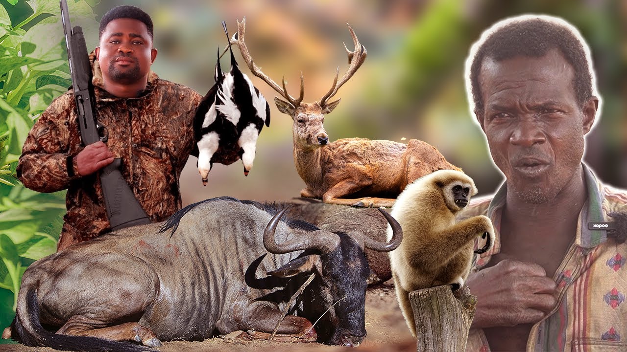 FEARLE$$ Hunter Gets AROU$ED by a WITCHE$ (OBAYIE) and str@nge dwarfs - True Story? | ziontvgh