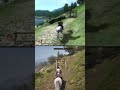 Oblivion Remaster vs. Original Graphics 🎮
