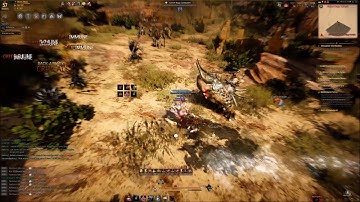 Berserker Hacker on BDO