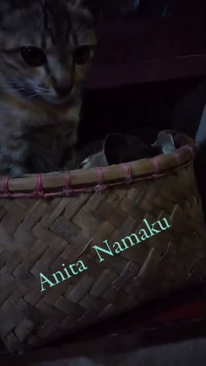 Anita Namaku