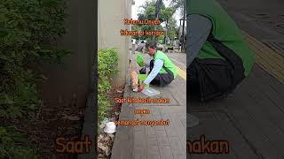kucing onyen di pinggiran koridor #kucingjalanan #kucinglucu #catlove #berbagiituindah #cat #fypシ