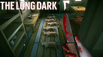 Amazing Success With The Snares | Coastal Highway | The Long Dark Stalker S21 E191