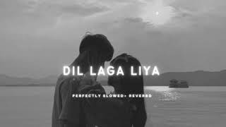 Dil LAGA LIYA PERFECTLY SLOWED reverb