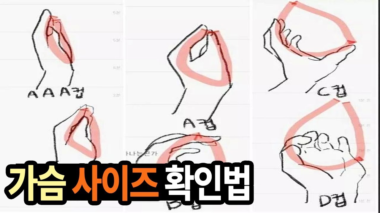 이설] 재미로 보는 가슴 사이즈 셀프 확인법! - YouTube