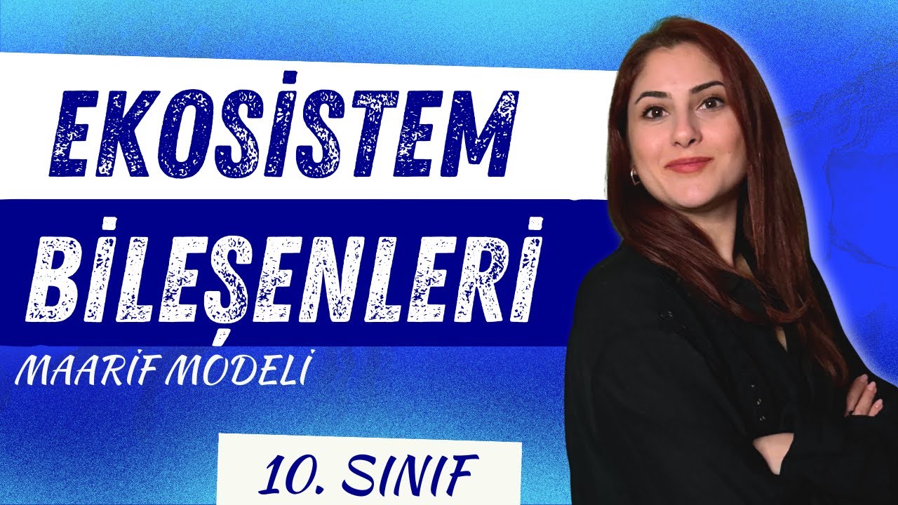 10) EKOSİSTEM BİLEŞENLERİ | 10. SINIF BİYOLOJİ | MAARİF MODELİ