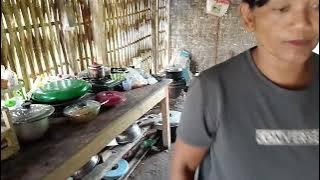 COOKED EGGS FOR SALE