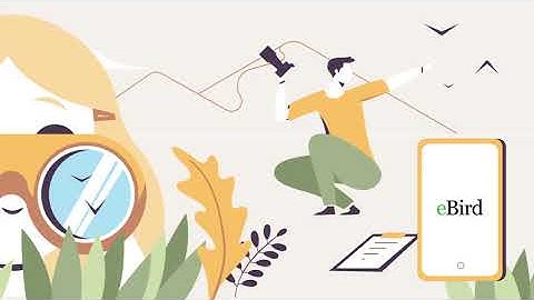 Copernicus Climate Change Service (C3S) app on Bird Migration