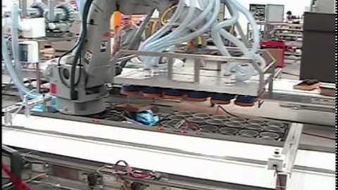 Robotic Cake Depanning System