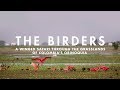 THE BIRDERS | A winged safari through the grasslands of Colombia's Orinoquia.