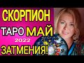 СКОРПИОН - МАЙ 2022/СКОРПИОН ТАРО на МАЙ 2022 /СОЛНЕЧНОЕ ЗАТМЕНИЕ/ЛУННОЕ ЗАТМЕНИЕ/OLGA STELLA