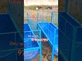 #goat #goatfarming #welding #perambalur #ஆடுவளர்ப்பு #ஆடு தீவண தொட்டி jp roofing works Thedavoor