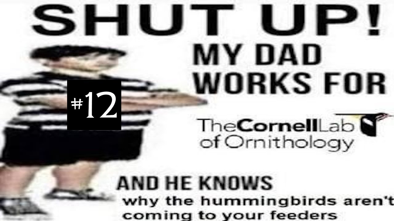 Clip Cache #12 | 2025 TF2 Edition