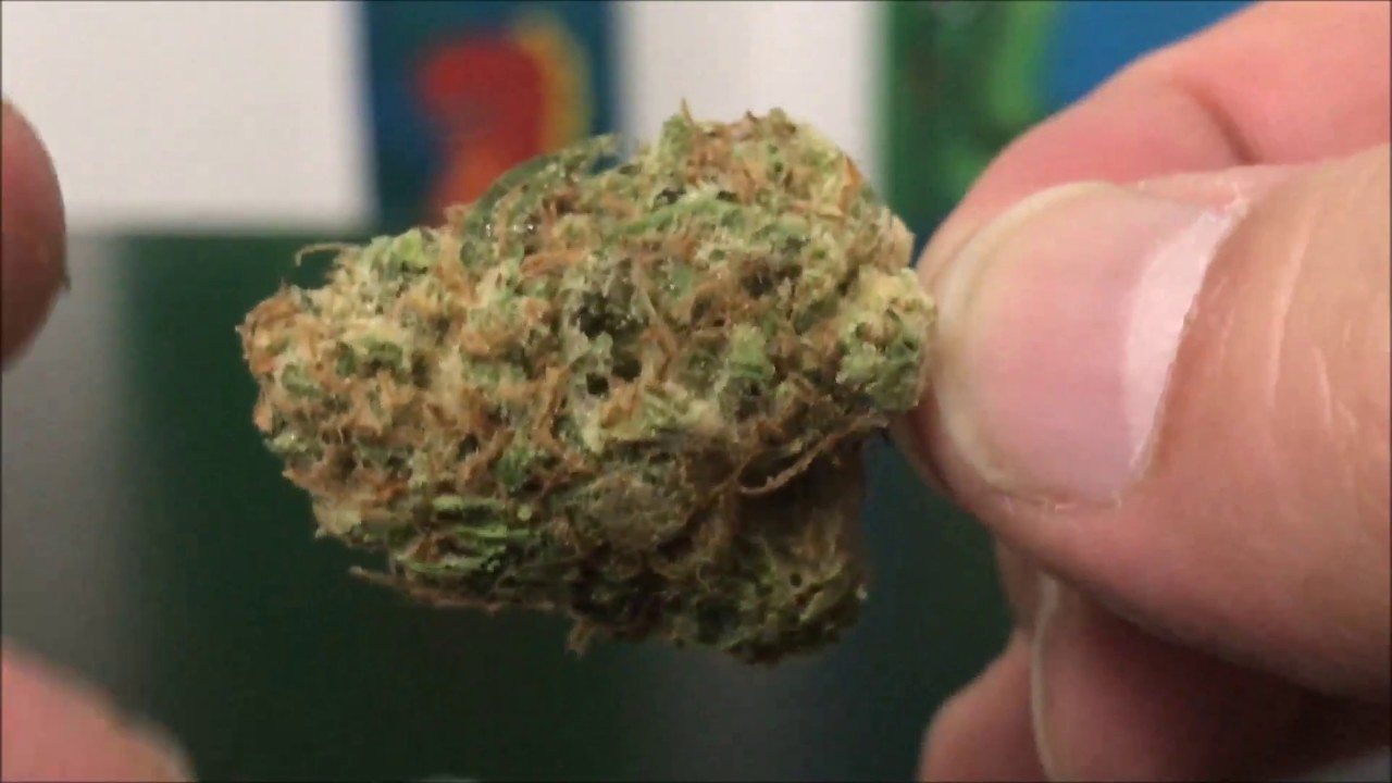 Prom Queen By BudCo Farms Recreational Cannabis Review