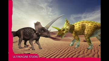 DBWC s3 thumbnails GA1 to GC4 (my prediction)