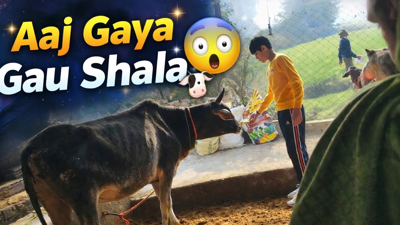 Aaj Gaya Gau Shala 😲🐄GauShala 