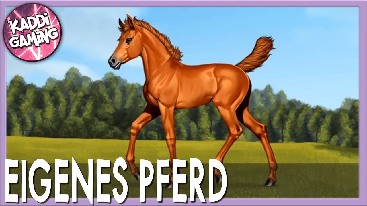 Mein erstes eigenes Pferd 🐎 Morning Dust Ranch #13 - YouTube