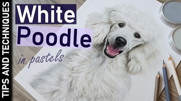 White Poodle drawing | Pastel pet portrait time lapse