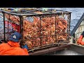 Pche incroyable sur la mer attrapez des centaines de tonnes de crabe royal dalaska