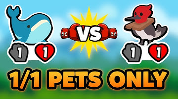 Super Auto Pets but we can only use 1/1 PETS