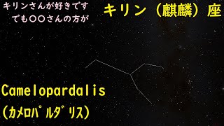 【88星座紹介】きりん(麒麟)座
