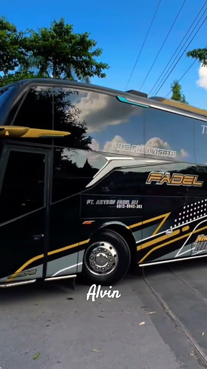 Pangeran Fadel Msm #busmania #shortsfeed #basuri #trending #viralvideo #fadel #shorts #telolet #bus