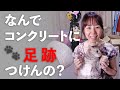 猫はなぜコンクリートに足跡をつけるの?【初見さん歓迎】猫好き熟女のおやすみ報告会!雑談LIVE♪