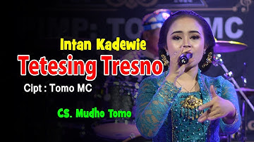 Intan Kadewie - Tetesing Tresno (Official Music Video)