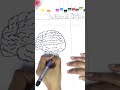 Internal Organs  Part 1 |  how to draw human brain #humanbody#brain #shortsfeed #ytviral