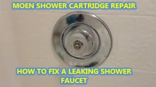 HOW TO FIX A LEAKING SHOWER FAUCET.  MOEN CARTRIDGE REPLACEMENT.