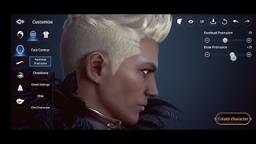 mir4 customize character