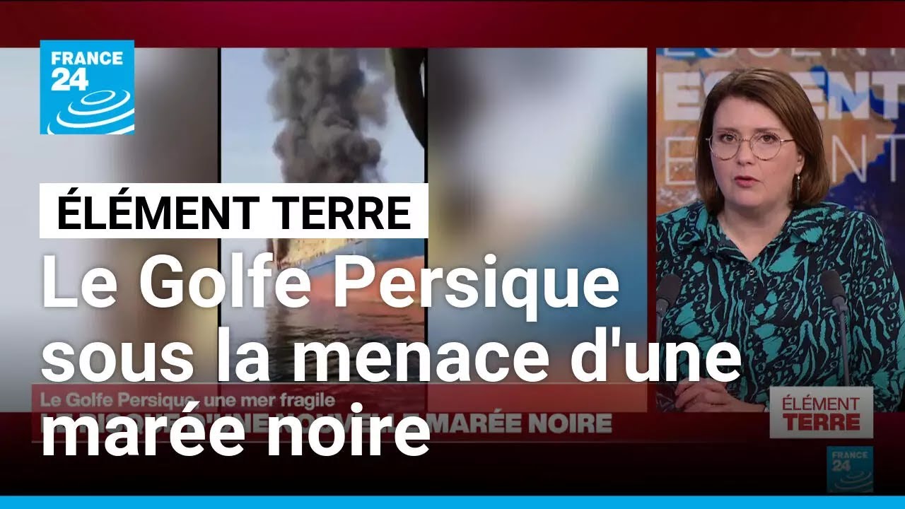 Risque d'une nouvelle marée noire dans le fragile écosystème du Golfe Persique • FRANCE 24