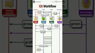 Everything You Need to Know About Git Workflow Gif Converted
