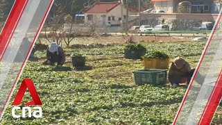 Celebrity South Korean farmers innovate with new crops to fight climate change Net Worth