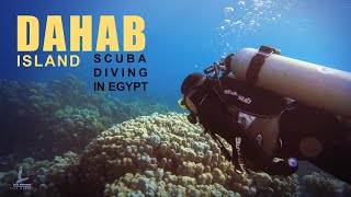 Scuba Diving in Red Sea, Egypt . Dahab, the Islands