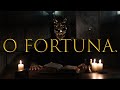 ALEX TERRIBLE - O ! Fortuna COVER (RUSSIAN HATE PROJECT)